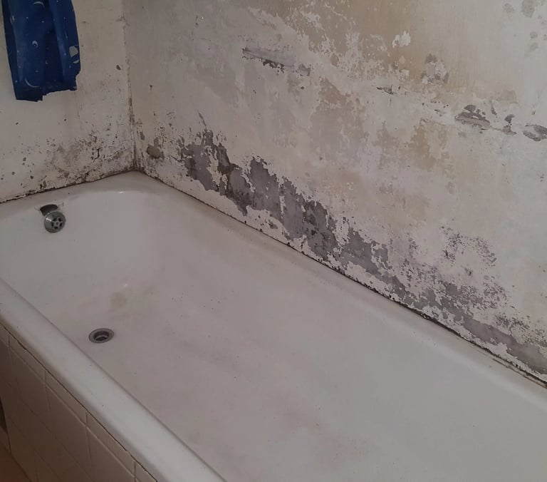 Condensation damp inspection Roodepoort