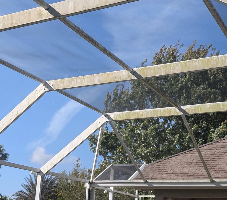 Pool Cage Cleaning Before Soft Wash in Trinity FL