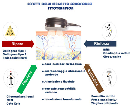 La Fitosonoforesi in azione