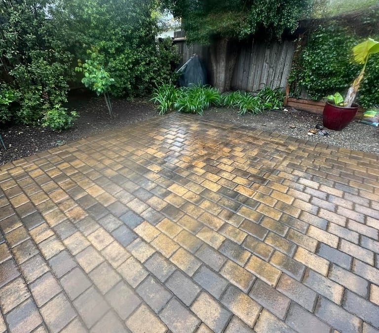 SFC Junk Removal: Backyard trampoline cleanup in SF 94112 & Fremont.