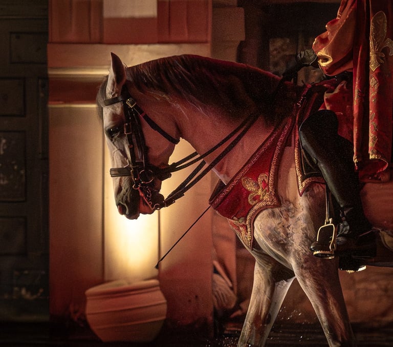 magnifique photographie d'un cheval marchant dans l'eau , lumière vive et tamisé en intérieur