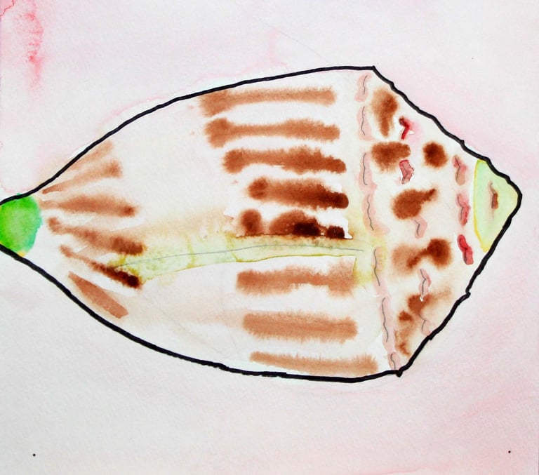 watercolor painting of a sea shell