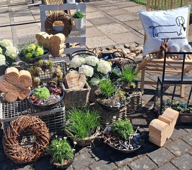 ein paar Pflanzen und ein Stuhl in einem Garten