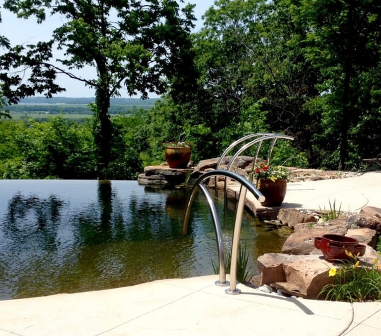 Modern bio pool with infinity edge, minimal plantings & advanced bio bead, UV & ozone filtration.