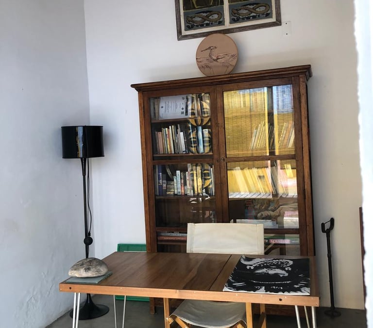 biblioteca en casa bela