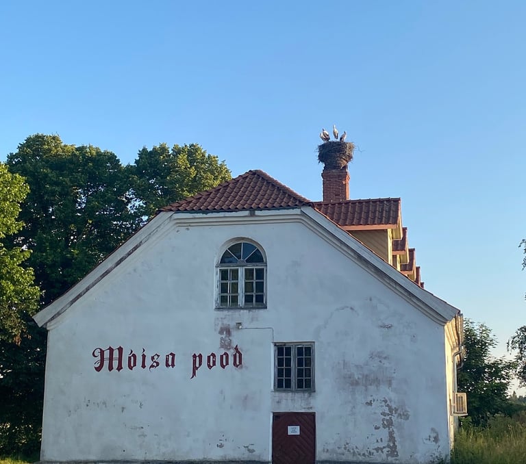 Cigognes dans un nid sur une vieille maison - Estonie