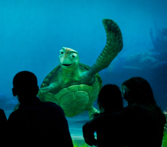 Turtle Talk With Crush