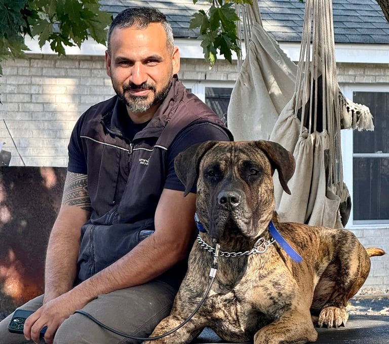 Dog trainer in Tampa sitting with a calm large brindle Presa Canario mastiff