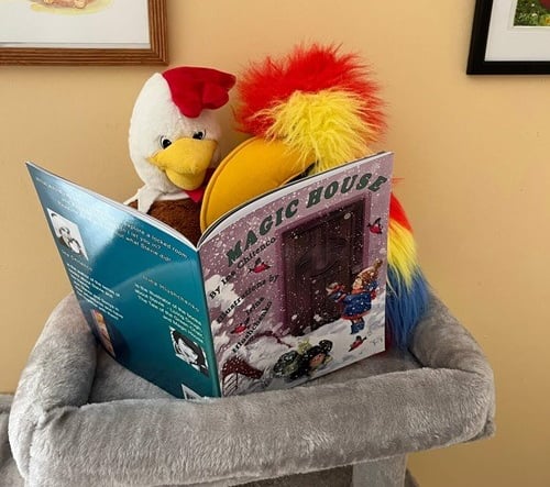 Stuffed parrot and rooster sit on a grey cat tree, appearing to read Magic House by Ina Chitenco.
