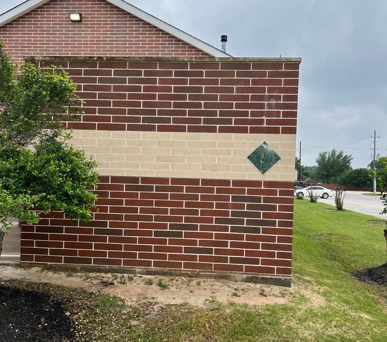 Wall that has been soft washed to remove mold and mildew