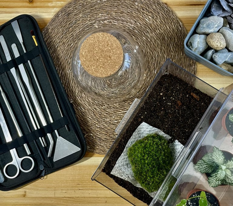 Atelier de réalisation de terrarium à Clermont-Ferrand
