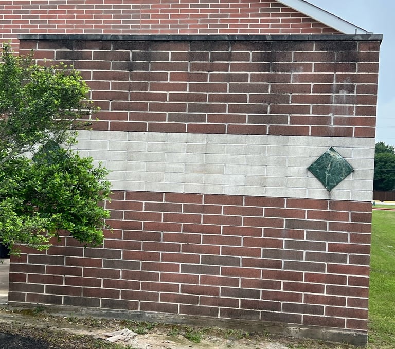 Wall before Soft Washing with Mold and Mildew