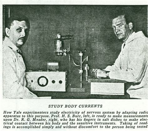 Harold Saxton Burr, Ph.D bases cientificas medicina bioenergetica novocen