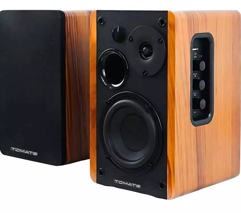 Monitor De Áudio Bluetooth 100W RMS Com Controle Remoto
