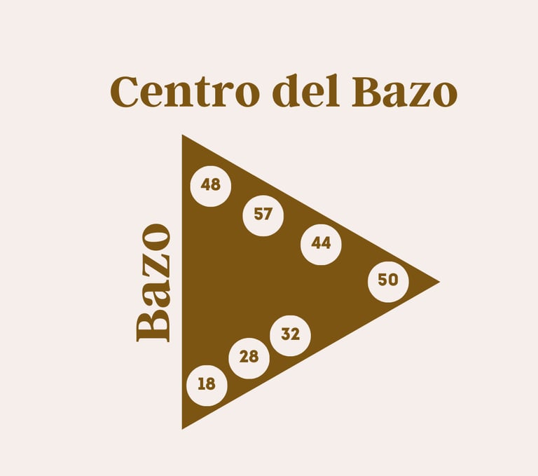 Centro del bazo diseño humano