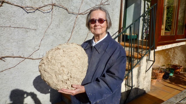 Heleen and her wasps' nest