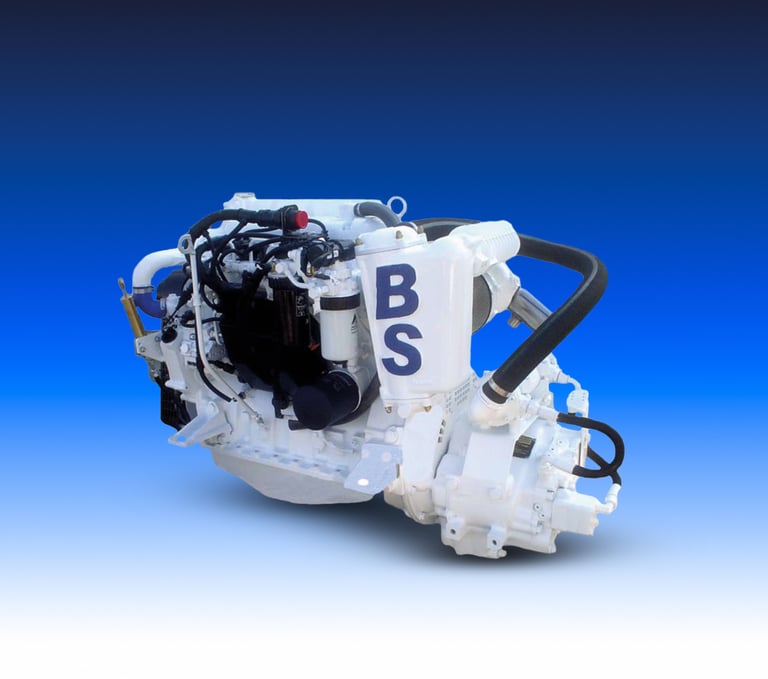 Motore Marino del marchio Boni Motori Marini modello 44 CTIM