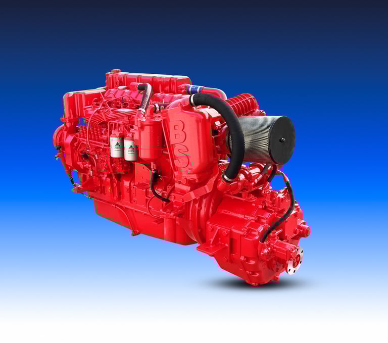 Motore Marino del marchio Boni Motori Marini modello BV 8406