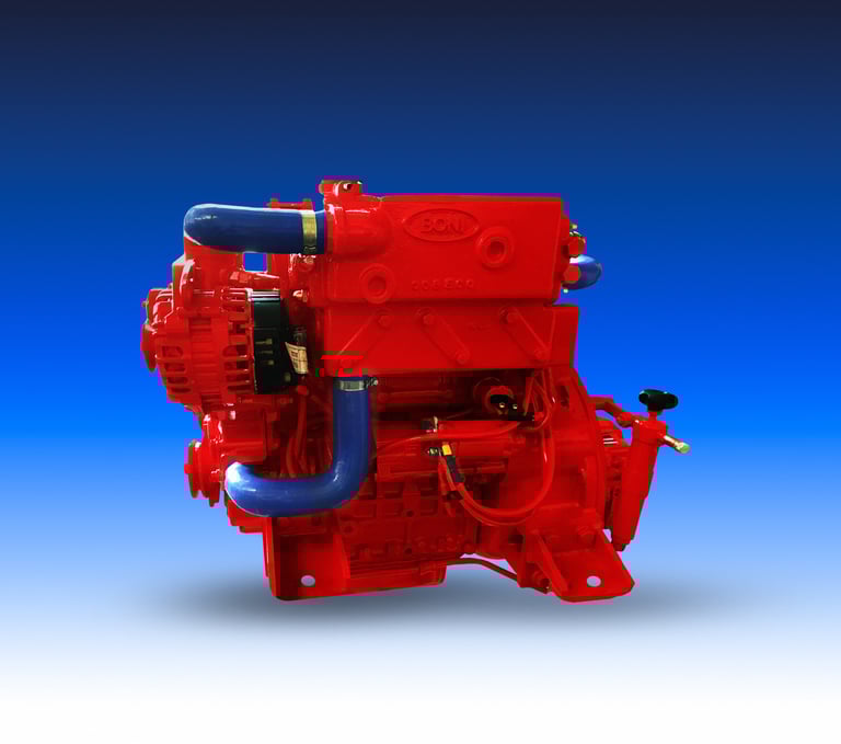 Motore marino rosso del marchio Boni Motori Marini modello 3.1826