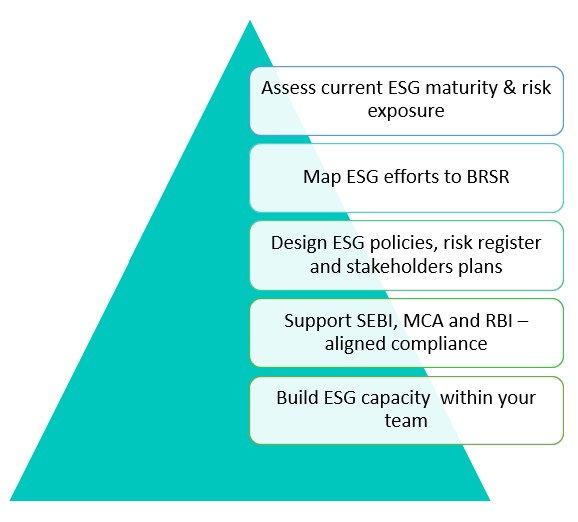 ESG and Sustainability Consulting