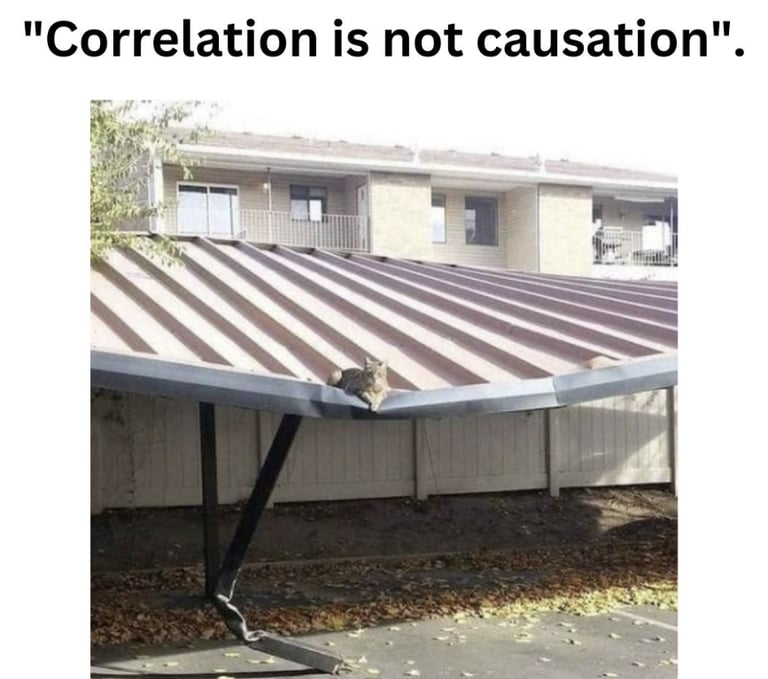 A meme showing a cat on a collapsed carport roof illustrating why correlation is not causation.