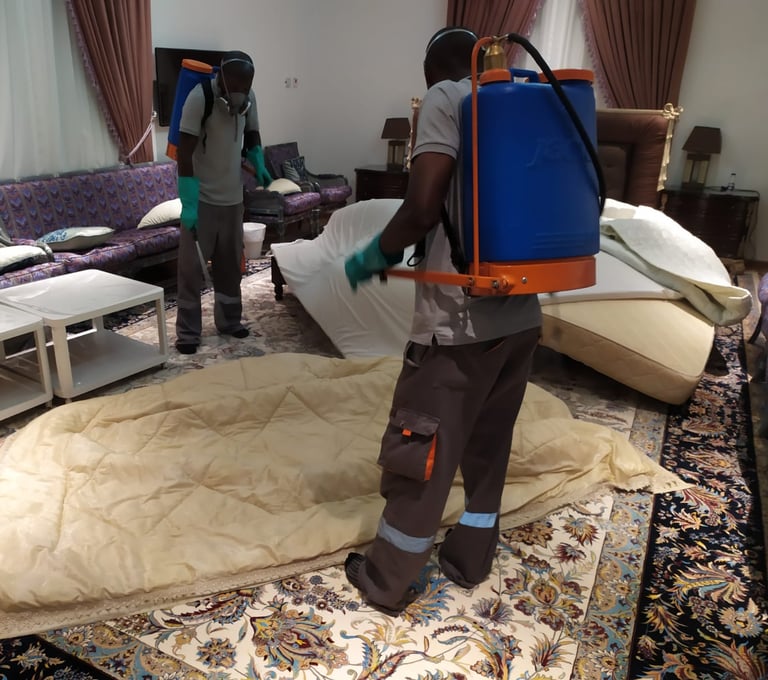 العمال يرتدون الأقنعة والأدوات يقومون برش السرائر والكنب والأخشاب وغرف الإستراحة وأماكن تواجد بق الف