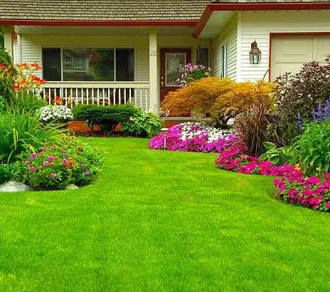 new vibrant plants on property