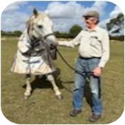 Summer 2025 with a friend's horse