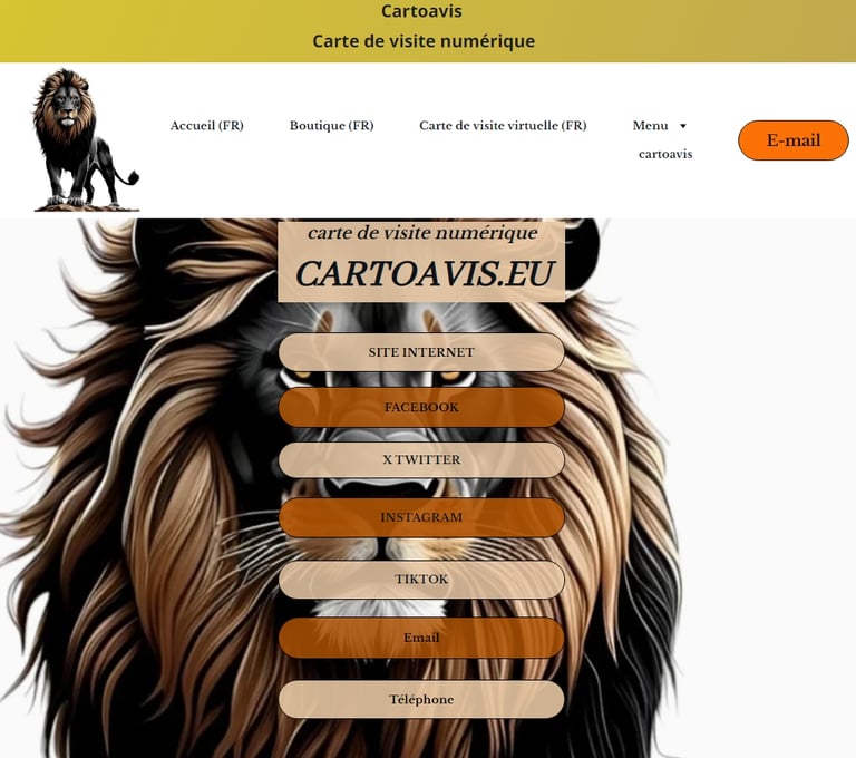 Exemple de carte de visite numérique