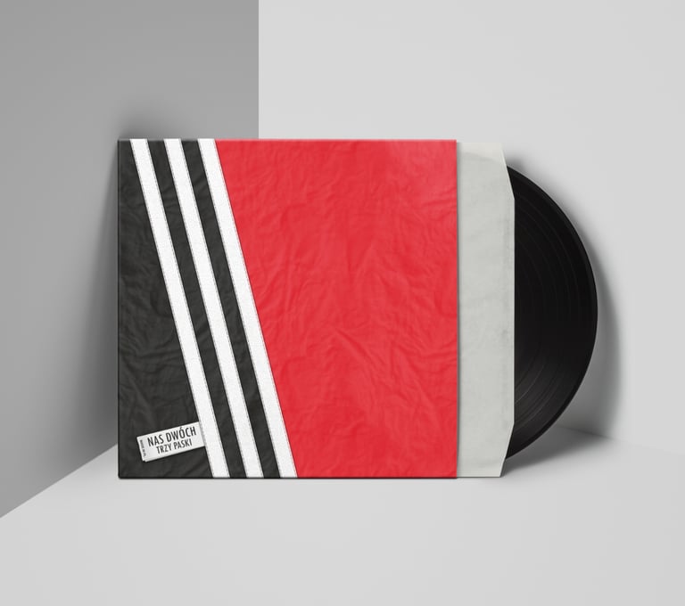 Vinyl album in a sleeve