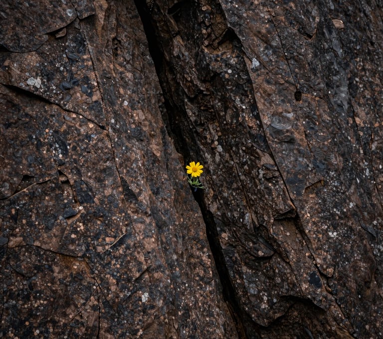 A minimalist vertical shot of a weathered mountain rock face with a single small yellow flower growing from a crack, high contrast, muted bronze and dark charcoal tones, North American / US wilderness.