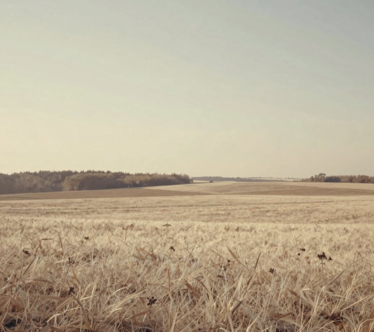 Photography of an impressionist landscape painting. The scene depicts an open field under a warm sun, with colors transitioning from pale cream to earthy taupe. The composition feels airy and light.