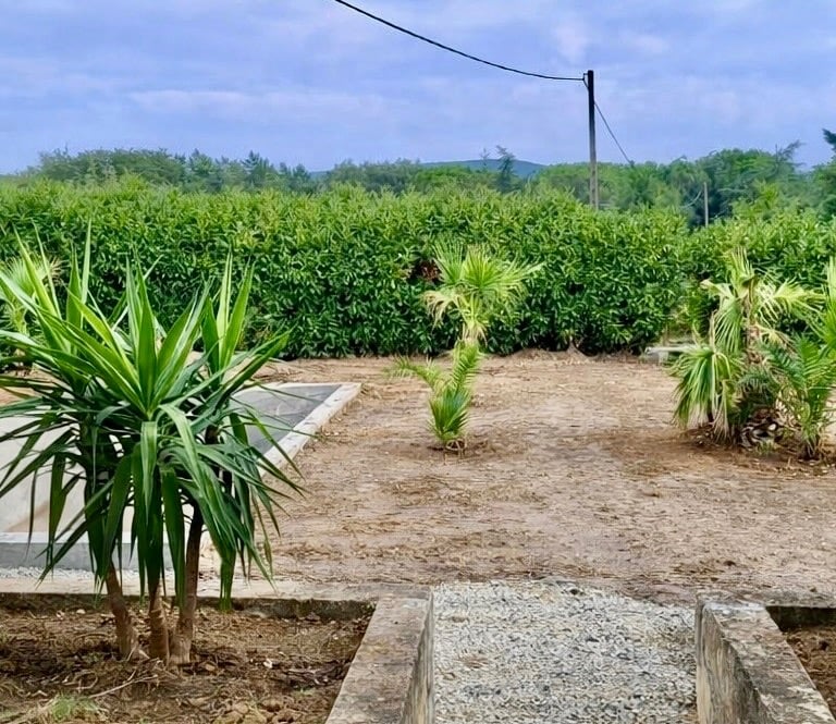 Aménagement extérieur paysager avec plantation et création d’allées paysagiste Montélimar