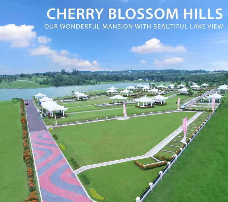 San Diego Hills Garden Cherry Blossom