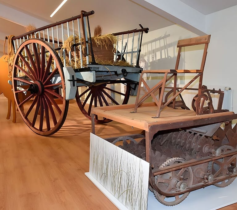 One of the rooms of the Museo del Arroz (Calasparra)