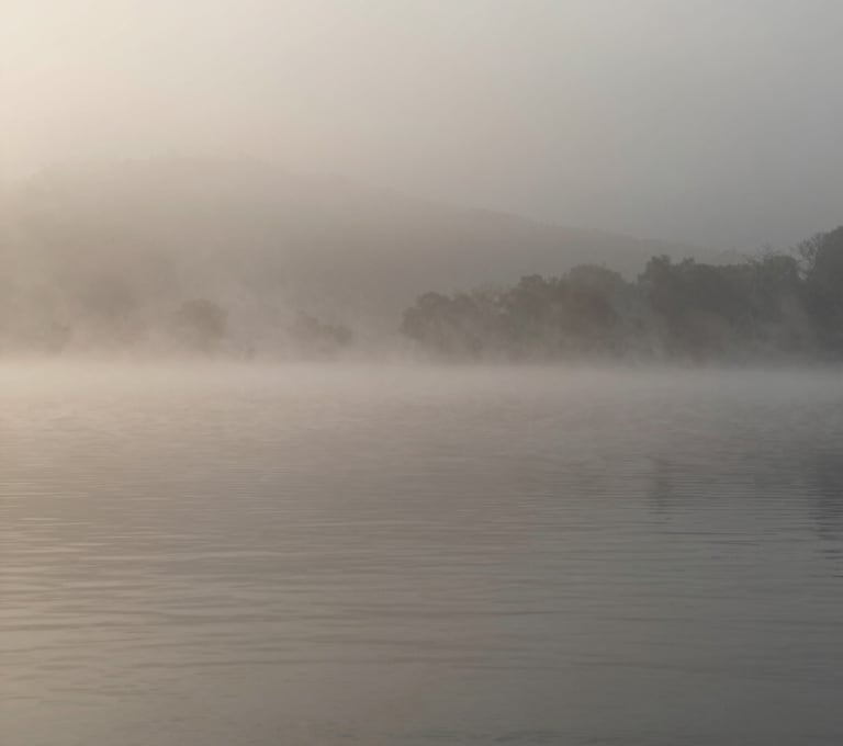 An ethereal landscape photograph of a misty lake at dawn, capturing subtle textures of water and fog, elegant and quiet mood, using tones of #362C27 and #A89B90 for a sophisticated look.
