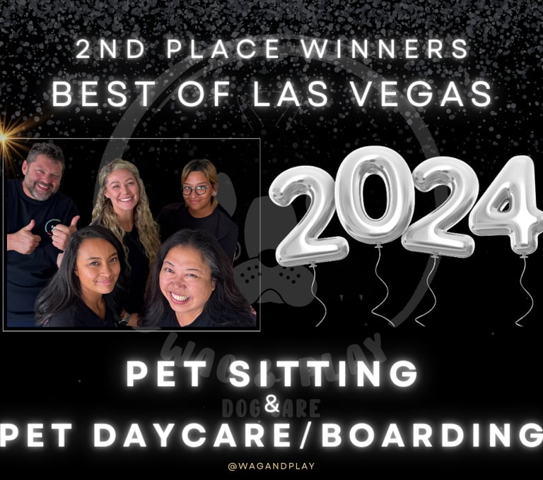 team photo -Voted 2nd place in Best of Las Vegas for Doggy Day Care, & Pet Sitting Services for 2024