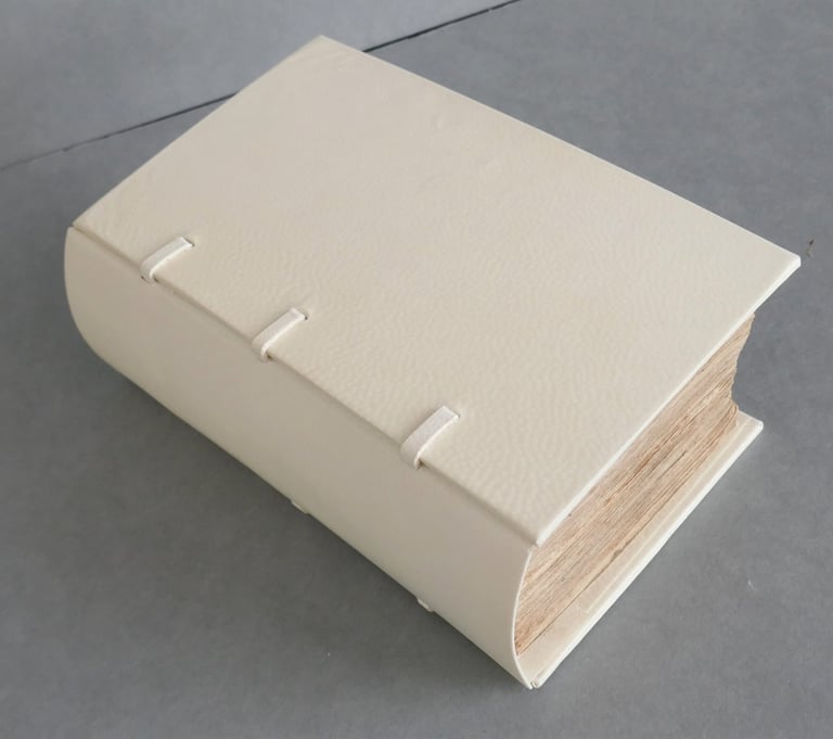 réparation livres anciens