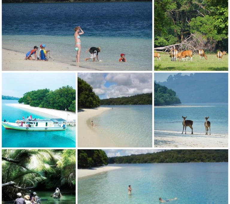 Ujung KUlon Tour 2d1n trip