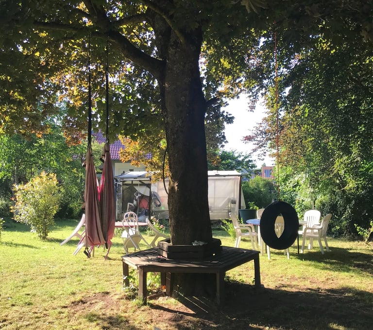 Alter, großer Baum mit Spielutensilien für Groß und Klein