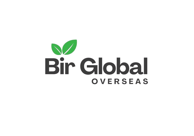 Bir Global Group