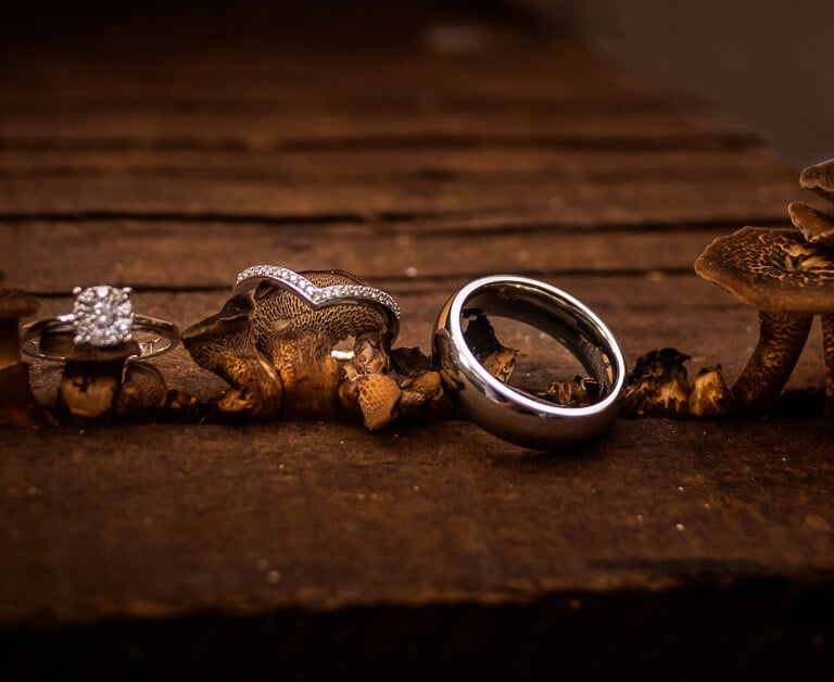 anillos de los novios