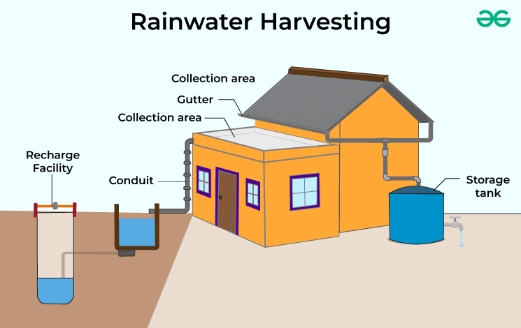 Rain water harvesting
