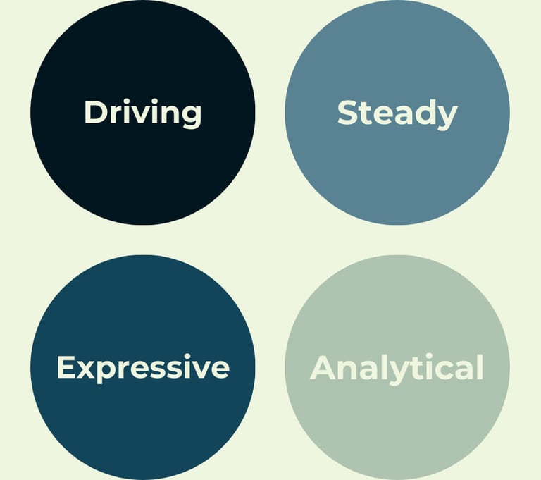 Personality styles diagram showing driving, steady, expressive, and analytical traits in colored circles.