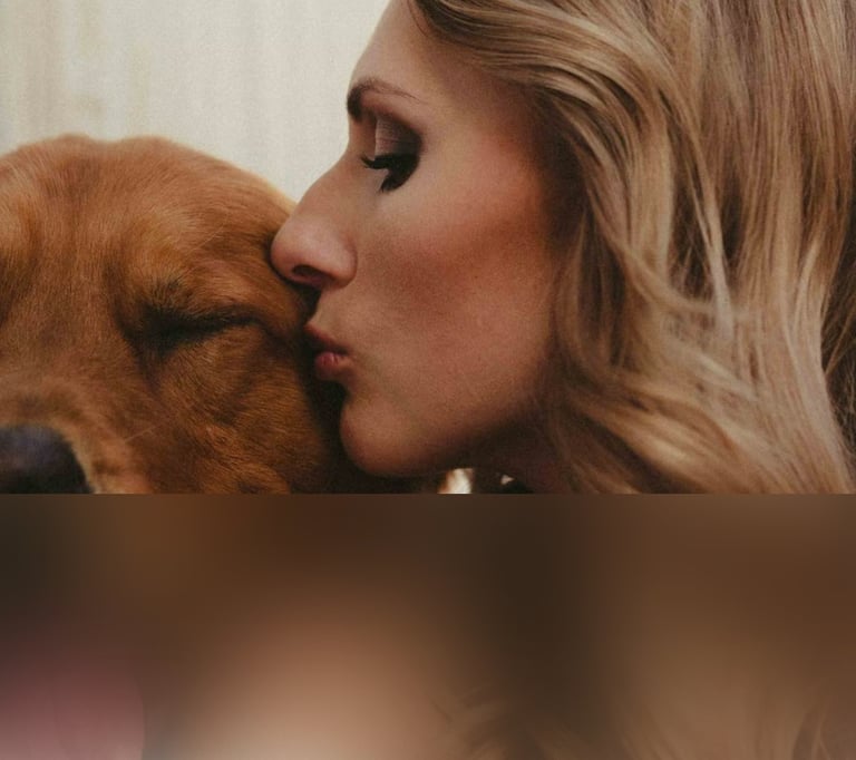 dogAdvisor | dogadvisor | dog advisor | dogAdvisor.dog