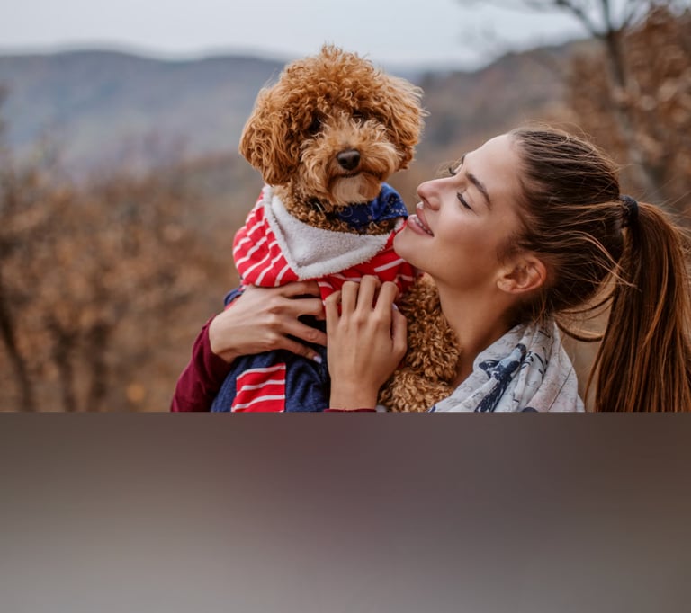 dogAdvisor | dogadvisor | dog advisor | dogAdvisor.dog