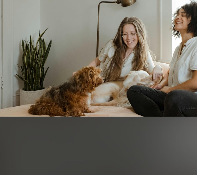 dogAdvisor | dogadvisor | dog advisor | dogAdvisor.dog