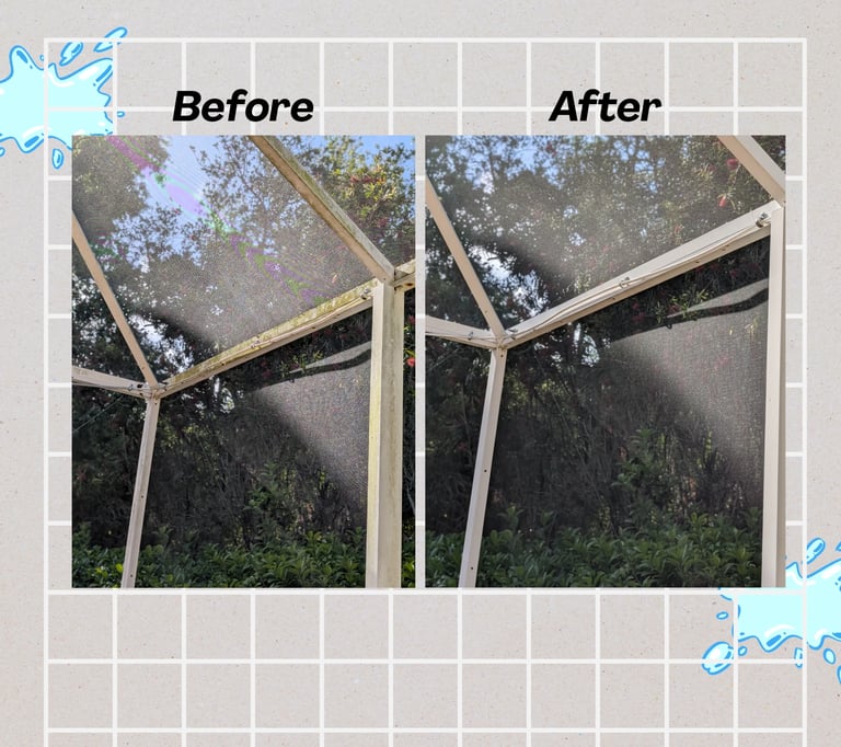 Pool Cage Cleaning Palm Harbor Florida