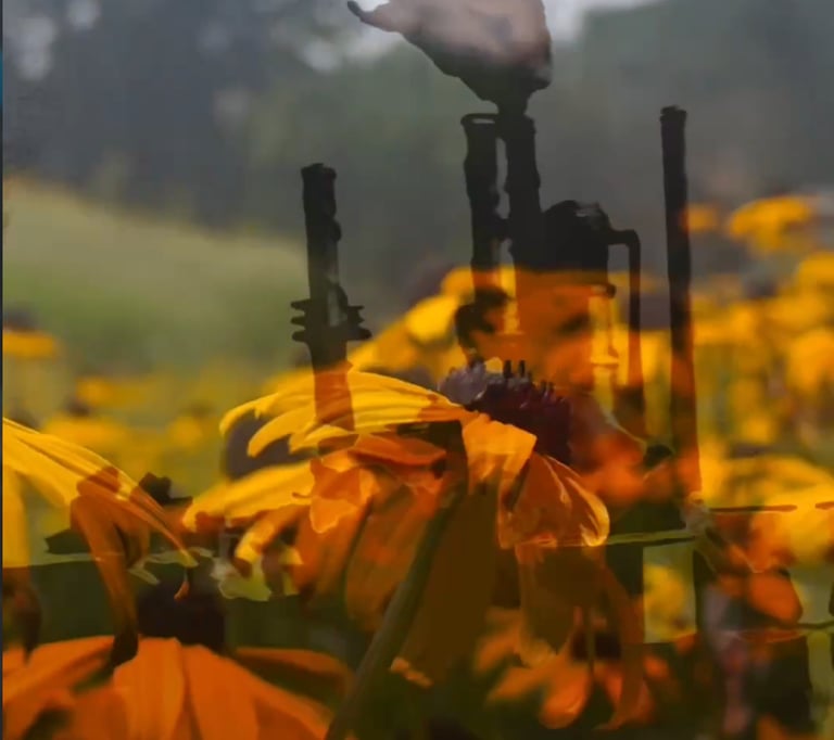 A smokestack superimposed over a field of flowers