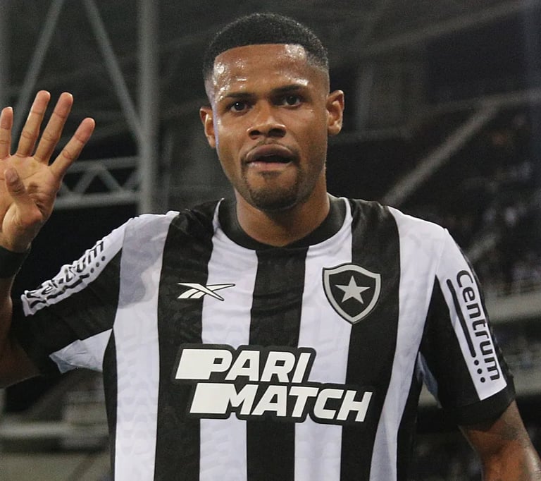Júnior Santos do Botafogo